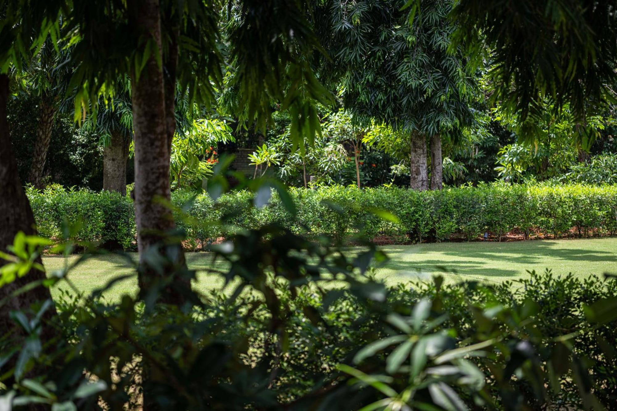 Rambha Palace By Hidden India Eksteriør bilde